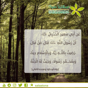 17رضيت بالله ربا