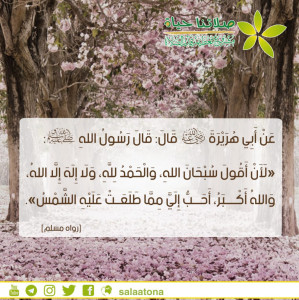 18سبحان الله والحمد لله...