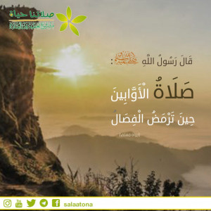 03صلاة الضحى حين ترمض الفصال