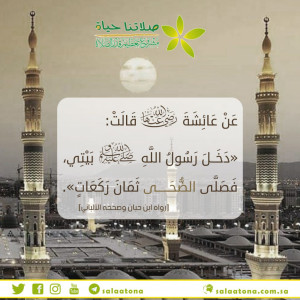 04ثمان ركعات