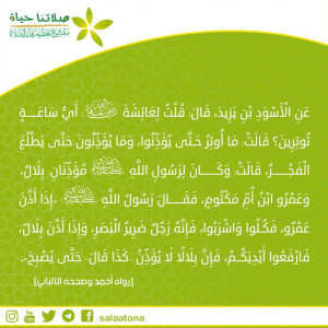 12ساعة الوتر تم