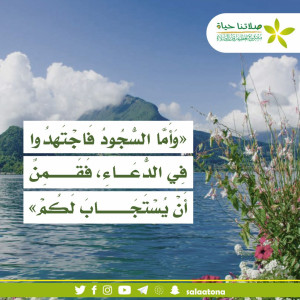179وأما السجود فاجتهدوا تم