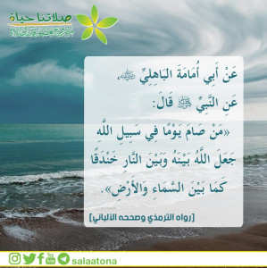 22من صام يوما