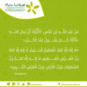 27لا إله إلا الله العظيم الحليم