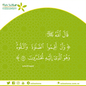 44وأن أقيموا الصلاة