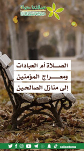 49الصلاة أم العبادات1