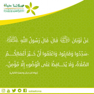 89سددوا وقاربوا